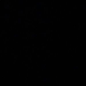 Meet your Posher, Tatum